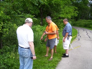 Group narrows down the fox hidden in the tree