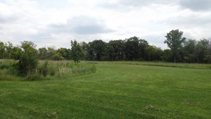 Picnic forest Preserve